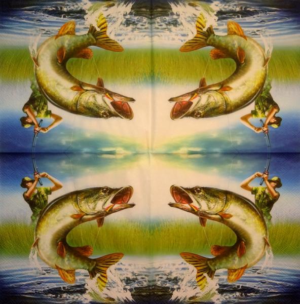 161 Fish - 3-ply